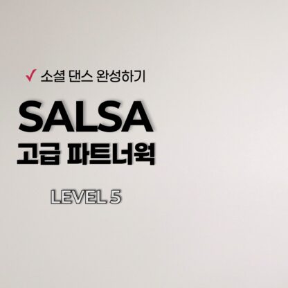 살사 고급 파트너웍 : Level 5